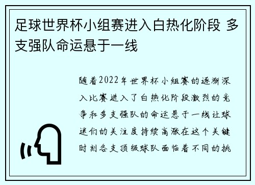 足球世界杯小组赛进入白热化阶段 多支强队命运悬于一线